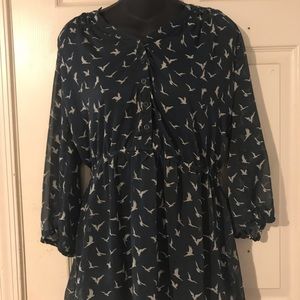 Long sleeve, see through dressy shirt